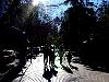 DSC00384.JPG