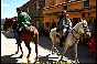 monfrague027.jpg