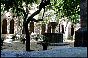 plasencia024.jpg
