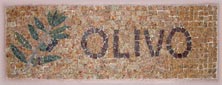 Olivo